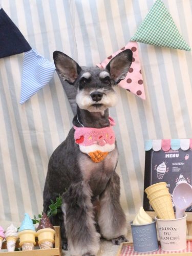 20250524ニーナちゃん